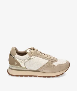 Deportivos Gioseppo ARDAGGER en beige