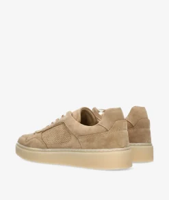 Deportivos Hobb's A4706A0703 HOBBS-7 en serraje taupe