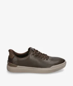 Deportivos Skechers 205625 en marrón