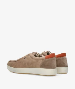 Zapatos casual St. Gallen POLI 04 en serraje taupe